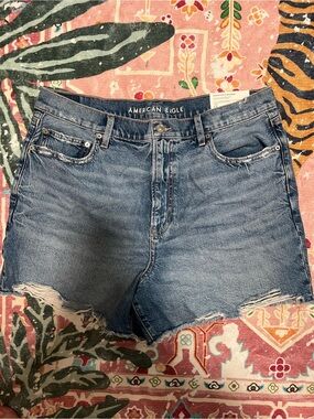 American Eagle 90s Boyfriends Shorts Size 16